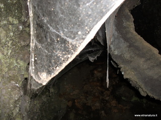 rderia-18-11-2012 12-03-20